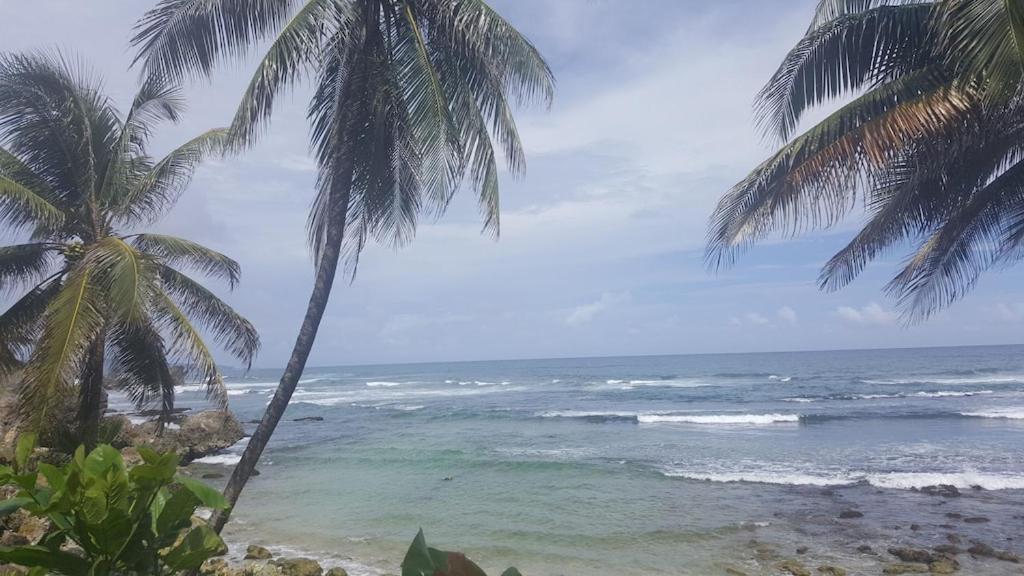 Donamae 2 Story Barbados House Villa Bridgetown Kültér fotó